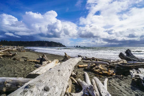 Amazing La Push Beach in the Quileute Reserva indiana - FORKS - WASHINGTON — Fotografia de Stock