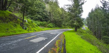 Oregon 'un güzel ormanları ve doğası