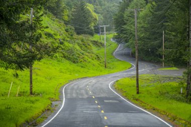 Oregon 'un güzel ormanları ve doğası