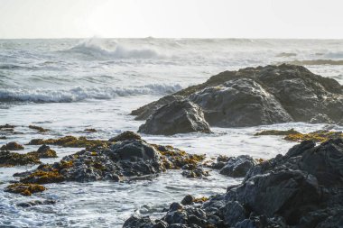 Vahşi ve kayalık sahil, barınak Cove - sığınak Cove - California - 17 Nisan 2017