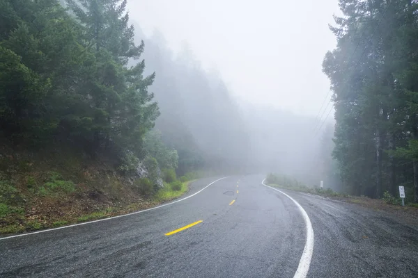 穿过红杉国家公园的荒凉的雾气中的道路 — 图库照片