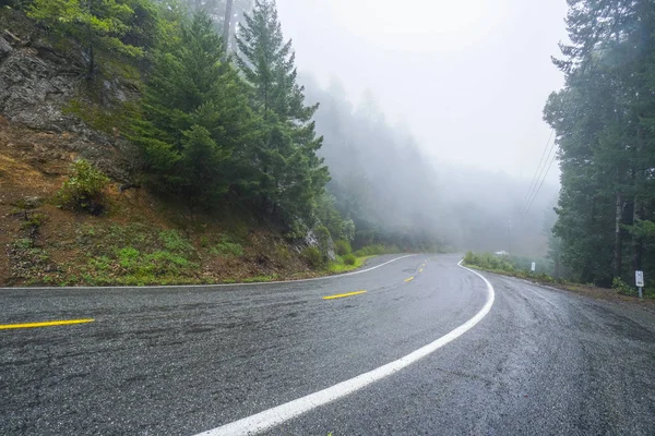 Strada solitaria nella nebbia che attraversa il Parco Nazionale delle Redwoods — Foto Stock