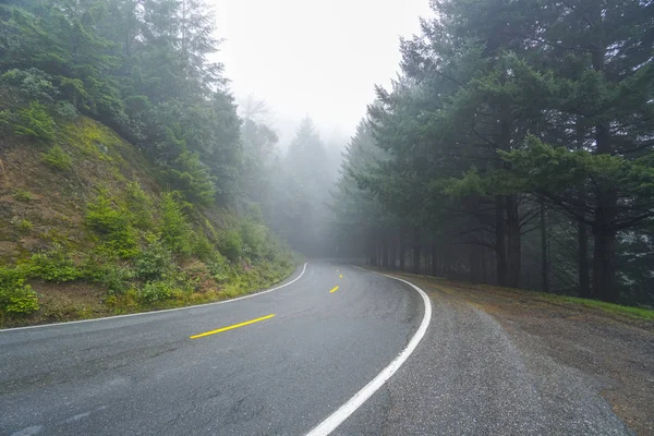 Avenue of the Giants v národním parku Redwood — Stock fotografie