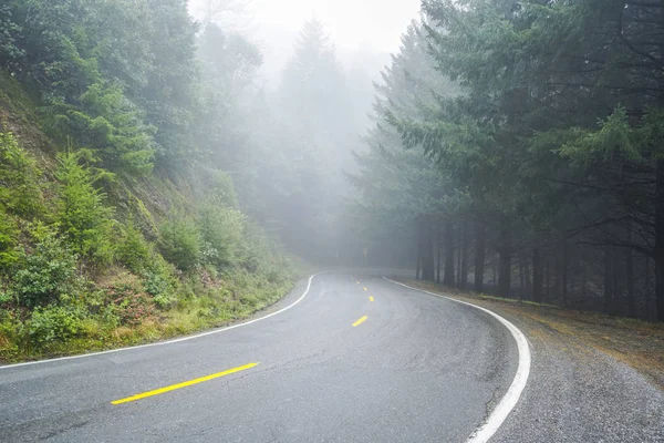 Strada solitaria nella nebbia che attraversa il Parco Nazionale delle Redwoods — Foto Stock