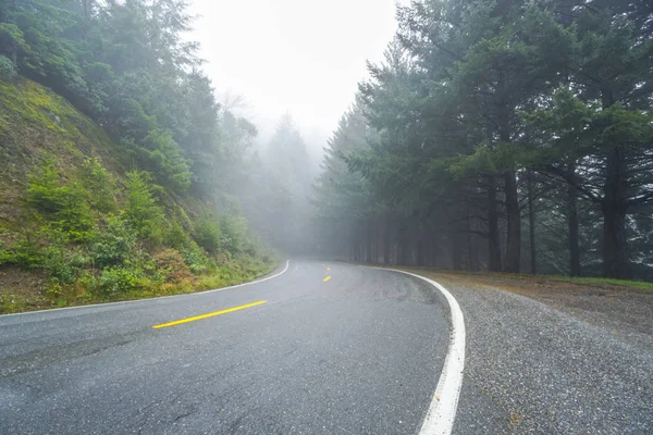 Bella strada attraverso una foresta nebbiosa — Foto Stock