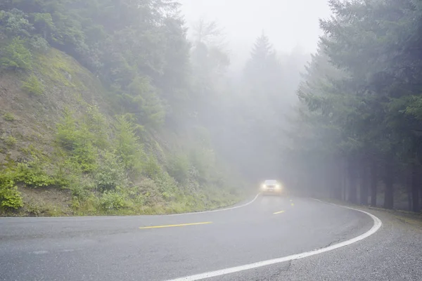 Viale dei Giganti al Parco Nazionale di Redwood — Foto Stock