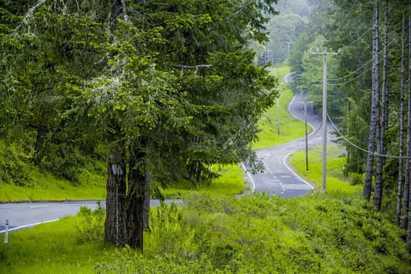 Meravigliosa vista sulla strada nelle foreste dell'Oregon — Foto Stock