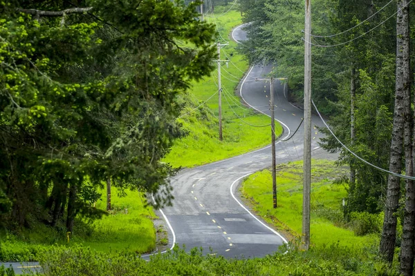 Magnifique vue sur la rue dans les forêts de l'Oregon — Photo