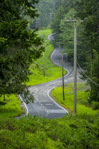 Vista maravilhosa rua nas florestas de Oregon — Fotografia de Stock