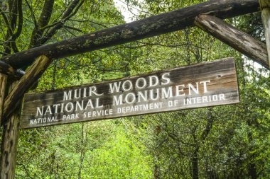Muir Woods National Monument in San Francisco - MUIR -CALIFORNIA - APRIL 18, 2017 clipart