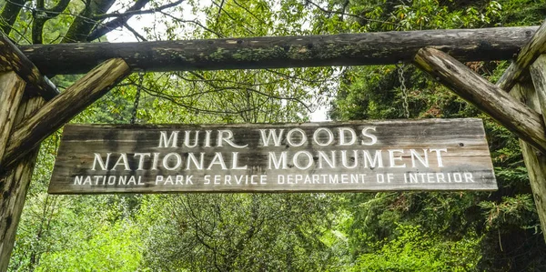 Muir Вудської національним пам'ятником в Сан-Франциско - Muir - Каліфорнія - 18 квітня 2017 — стокове фото