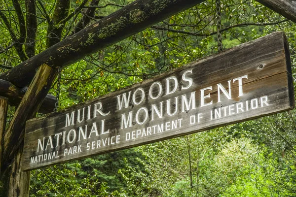 Muir Вудської національним пам'ятником в Сан-Франциско - Muir - Каліфорнія - 18 квітня 2017 — стокове фото