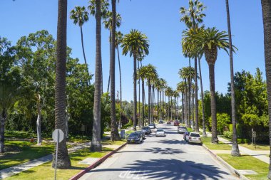 Beverly Hills - sokak palmiye ağaçları - Los Angeles - California - 20 Nisan 2017 tipik sokak görünümü