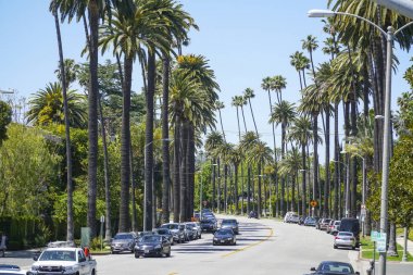 Palmiye ağaçları Beverly Hills - Los Angeles - California - 20 Nisan 2017 ile güzel sokak görünümü