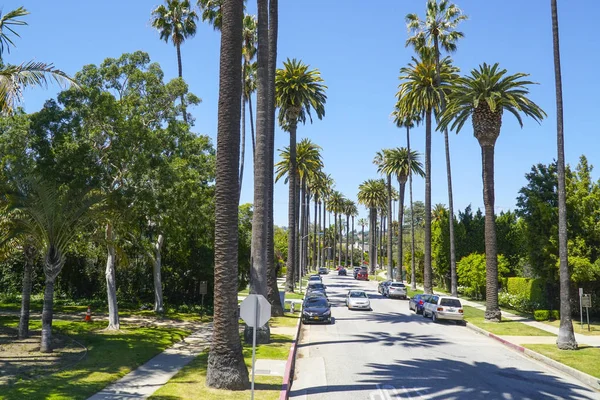 Vista típica de la calle en Beverly Hills - callejón de palmeras - LOS ÁNGELES - CALIFORNIA - 20 DE ABRIL DE 2017 — Foto de Stock