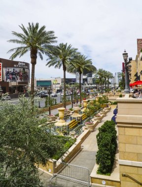 Palazzo Hotel Las Vegas - Las Vegas - Nevada - 23 Nisan 2017 palmiye ağaçları