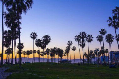 Venice Beach sonra günbatımı - ve palmiye ağaçlarının silhouettes