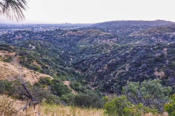 Hollywood Hills in Los Angeles