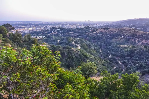 Голливудские холмы Лос-Анджелеса — стоковое фото