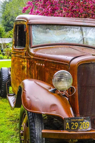 Oude roestige Oldtimer auto in het Redwood National Park - Arcata - Californië - 16 April 2017 — Stockfoto