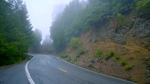 Osamělá cesta v mlze vedoucí přes národní park Redwoods — Stock video