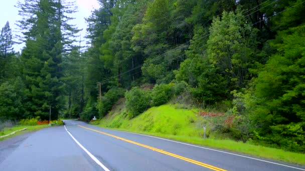 俄勒冈州美丽的森林和大自然 — 图库视频影像