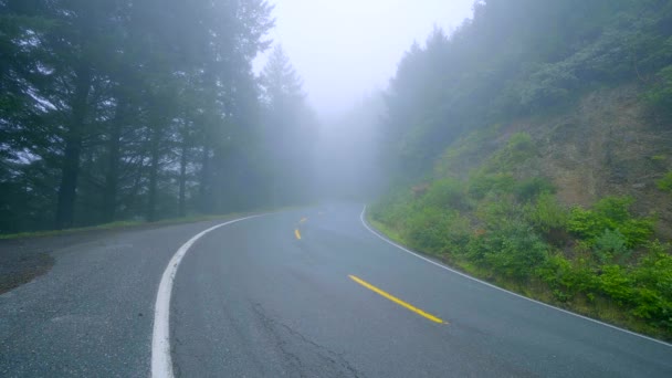 Calle solitaria a través de la naturaleza en un día de niebla — Vídeos de Stock