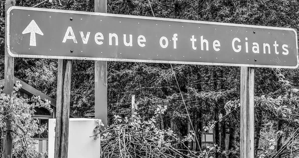 สัญลักษณ์ถนน Avenue of the Giants ใน Redwoods — ภาพถ่ายสต็อก