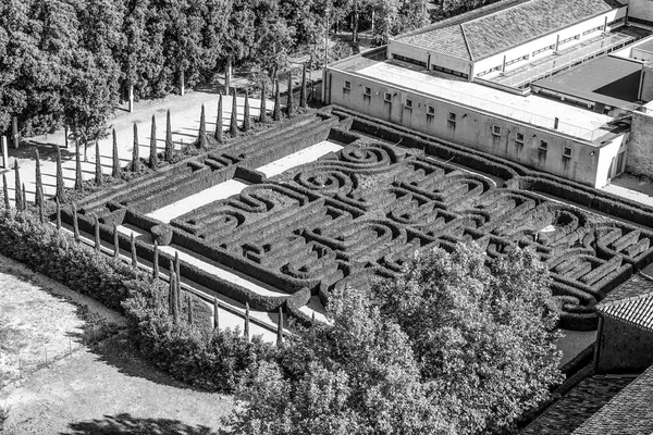 Ein labyrinth garten in venedig st. giorgio — Stockfoto