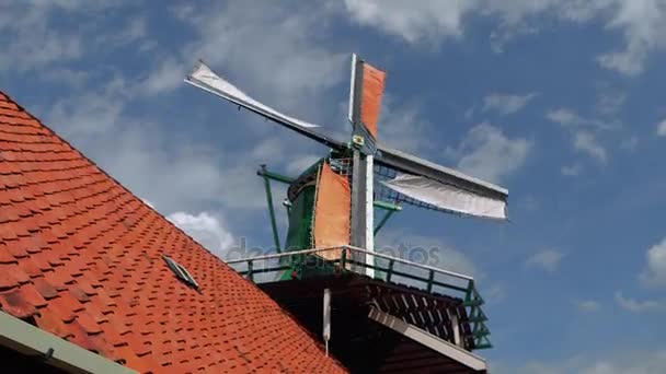 Schöne windmühle in holland — Stockvideo