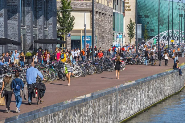 Amsterdam Limanı popüler bankalar