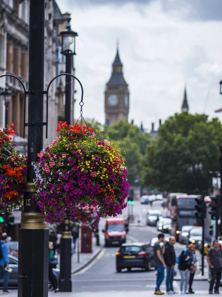 Szép virág dekoráció Londonban — Stock Fotó