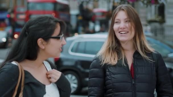 ロンドン観光旅行で 2 人の友人を訪問 — ストック動画