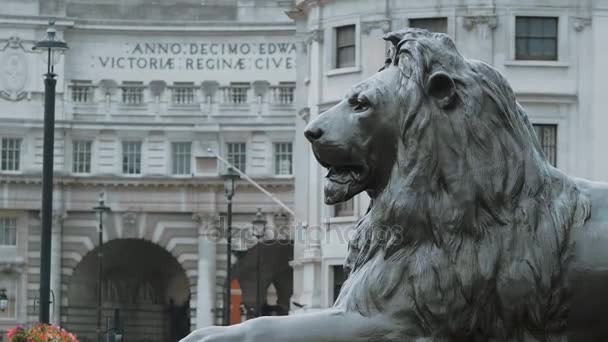 De leeuwen op Trafalgar Square in Londen — Stockvideo