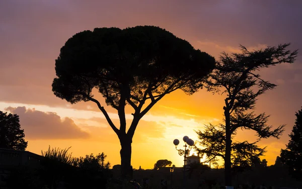 Дивовижний захід сонця над ландшафтом Тоскана — стокове фото