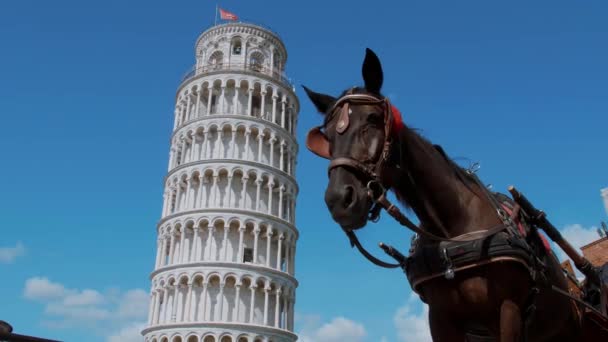 Şaşırtıcı Leaning Tower of Pisa mavi gökyüzü karşı — Stok video
