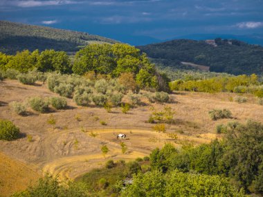 Yeşil alanlar ve Toskana İtalya tipik bitki örtüsü