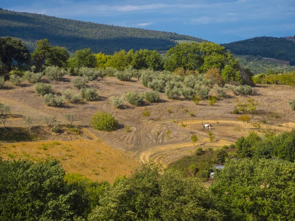 Een mooie dag in Toscane Italie met blauwe lucht — Stockfoto