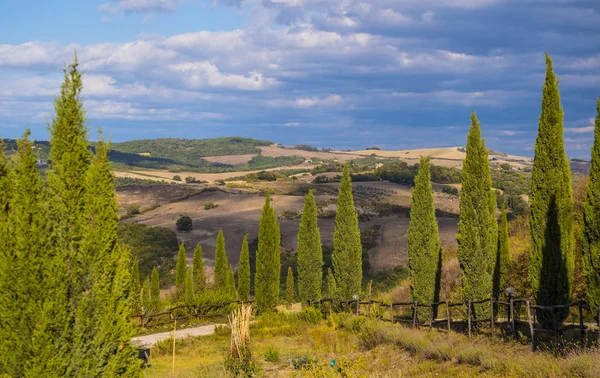 Bir yaz İtalya - harika Tuscany