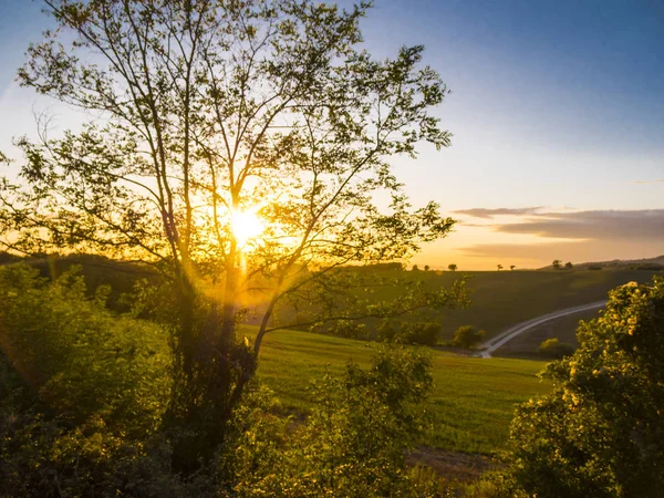 Prachtige natuur van Toscane in Italië — Stockfoto