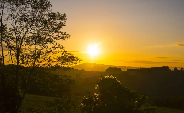 Bir yaz İtalya - harika Tuscany