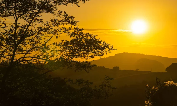 Ein sommer in italien - die wunderbare toskana — Stockfoto