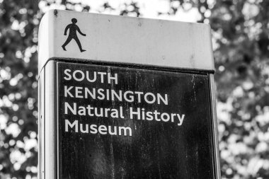 19 Eylül 2016 - Doğal Tarih Müzesi'nde South Kensington'daki - Londra - İngiltere - kayıt