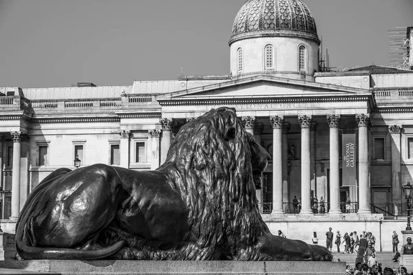 Slavných lvů na Trafalgar Square v Londýně - Londýn - Velká Británie - 19. září 2016 — Stock fotografie