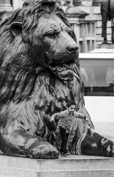 Trafalgar Square Lions em Londres - LONDRES - GRANDE BRETANHA - SETEMBRO 19, 2016 — Fotografia de Stock