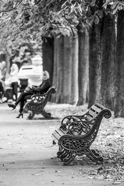 Benches at Greenwich Park on a beautiful day in fall - LONDON - GREAT BRITAIN - SEPTEMBER 19, 2016 — Stock Photo, Image