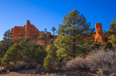 Utah 'taki Red Canyon - inanılmaz manzara