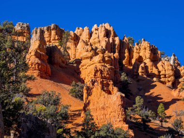 Utah 'taki Kızıl Kanyon' daki inanılmaz kayalar.