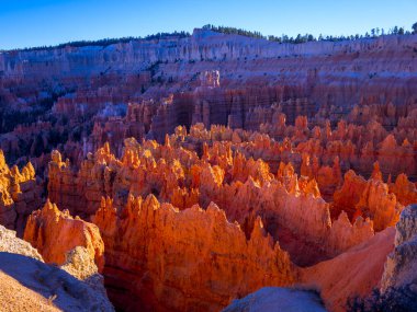 Utah 'taki Bryce Canyon Ulusal Parkı' nda Muhteşem Manzara