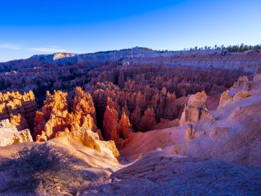 Utah 'taki Bryce Canyon Ulusal Parkı' nın kızıl kayalıkları.